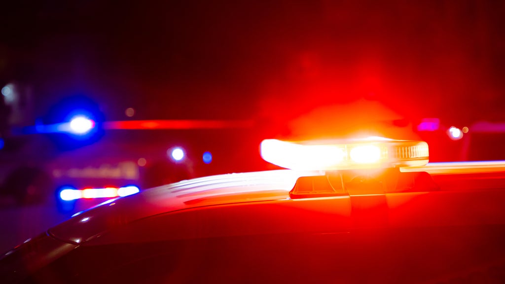 Driver killed in head-on collision with semi in central Minnesota — Cottage Grove Sports news