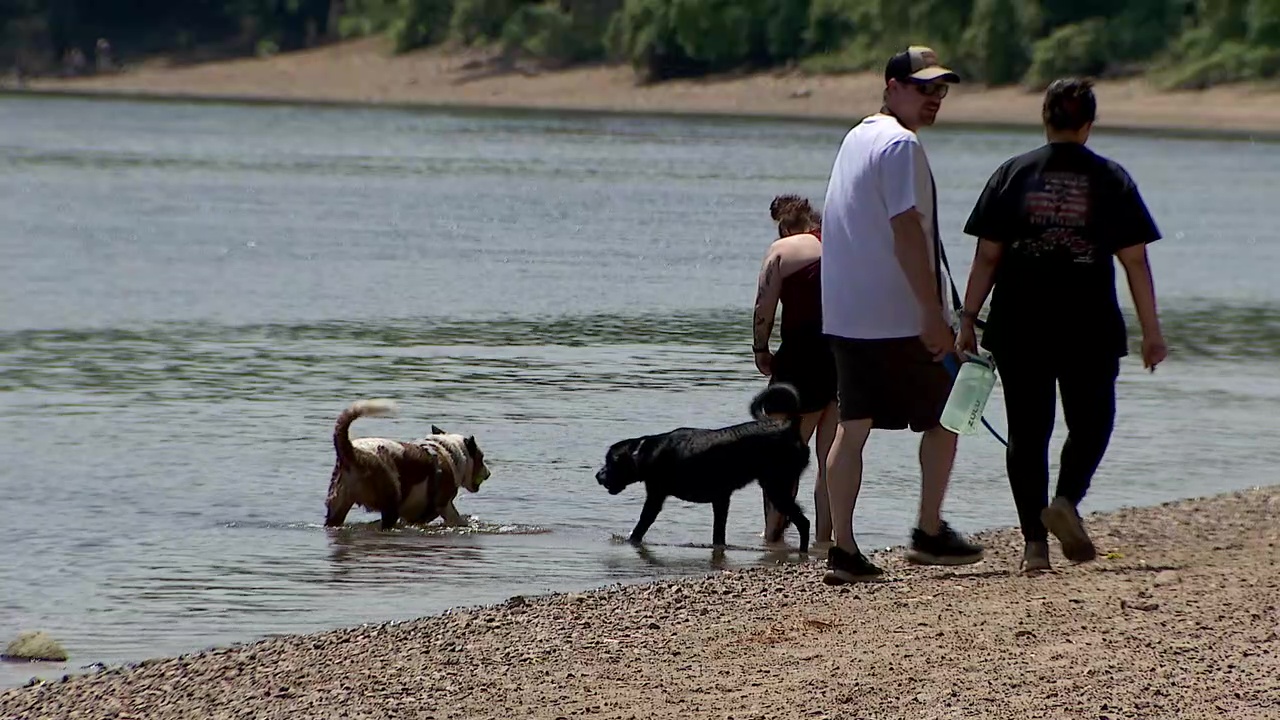 Minnehaha Dog Park ending off-leash use in December despite public outcry — Cottage Grove Community news
